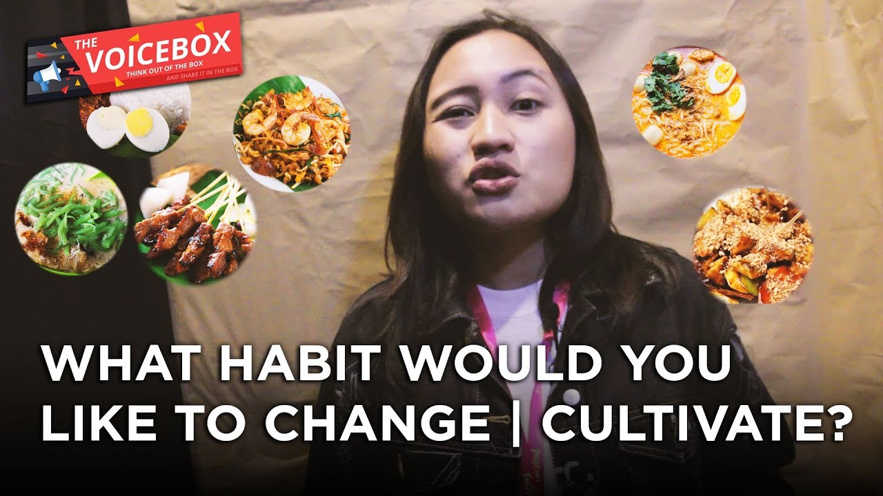 The Voicebox #1: Cultivating Good Habits?